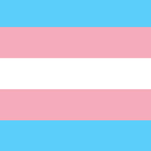 Trans Flag