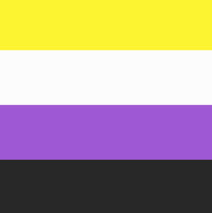 Nonbinary Flag